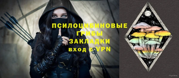 СК Аркадак