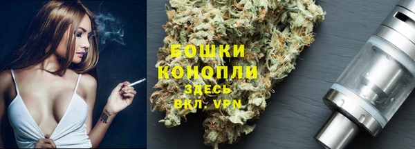 СК Аркадак