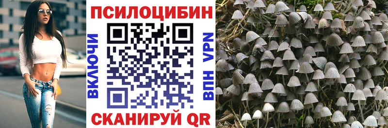 где можно купить Мирный Галлюциногенные грибы Psilocybine cubensis